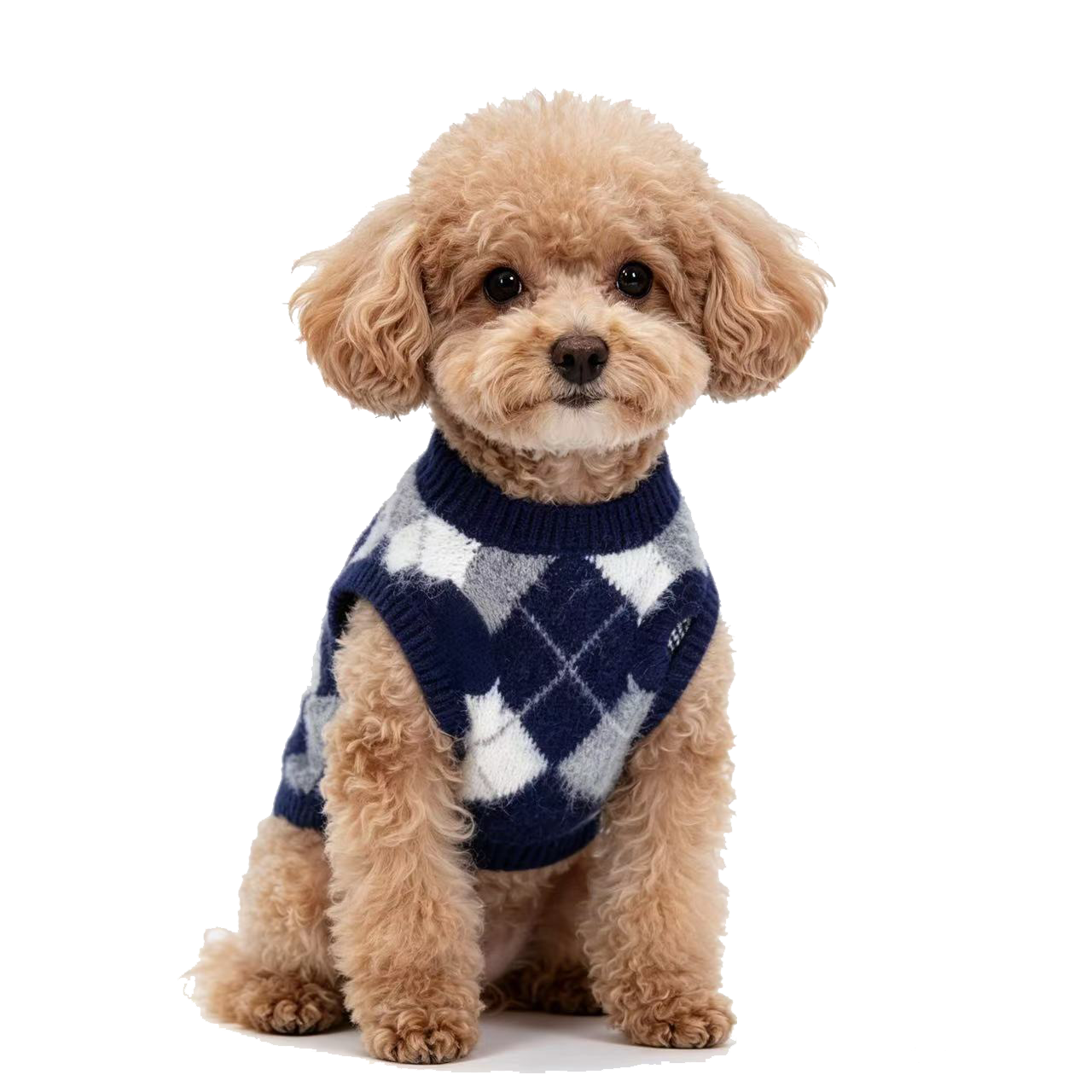 LovePet NY