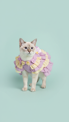 Lavender leash ruffled dress for cats
